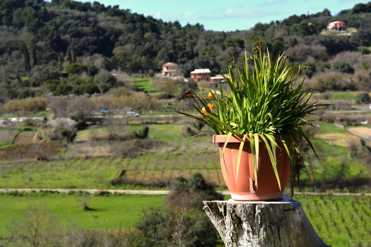 Villa Skafonas Sinarádes Extérieur photo