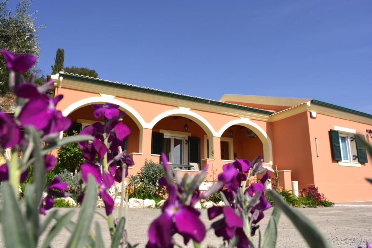 Villa Skafonas Sinarádes Extérieur photo