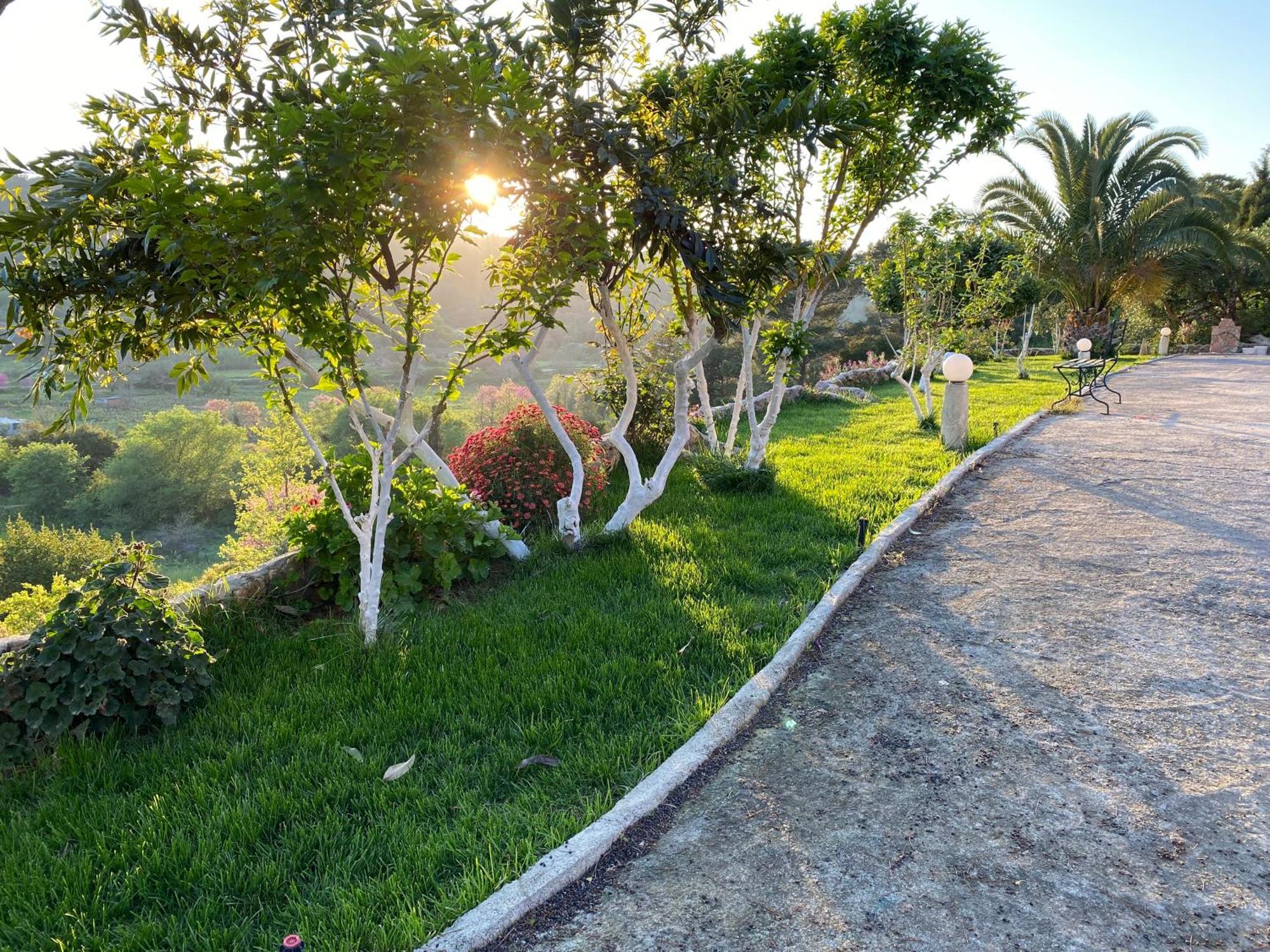 Villa Skafonas Sinarádes Extérieur photo
